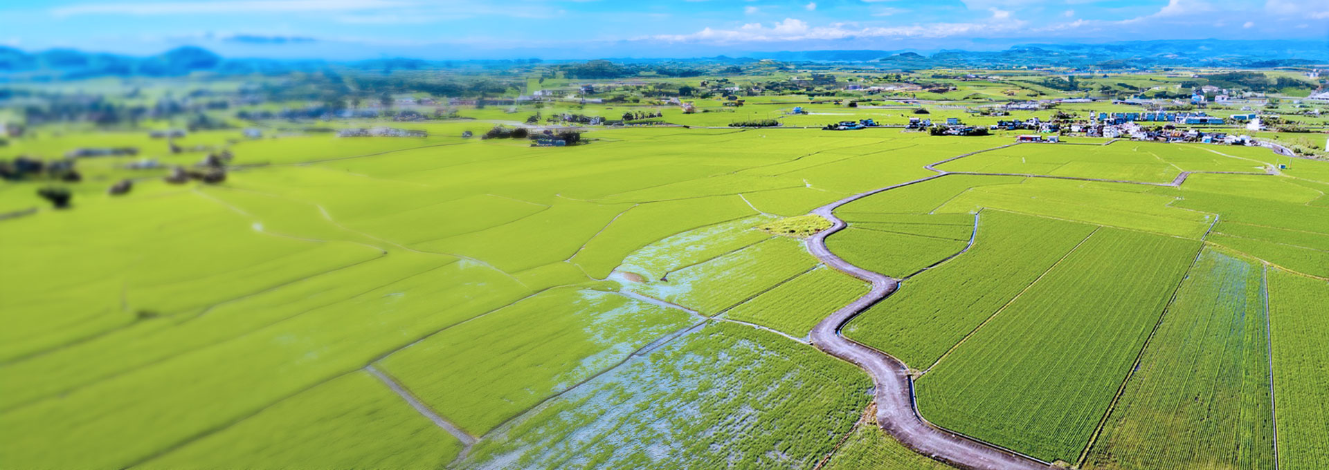 關於我們